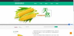 企業網站建設搜索引擎優化技(jì )術在網站的應用(yòng)